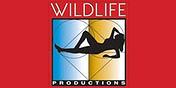 Wild Life background