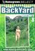 Backyard Amateurs 8 background