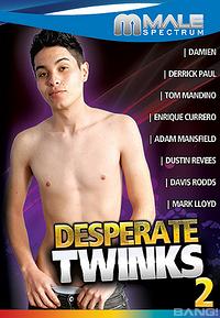 Desperate Twinks 2