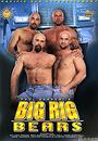 big rig bears