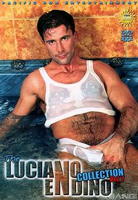 The Luciano Endino Collection