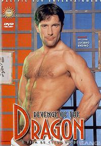 Revenge Of The Dragon 1