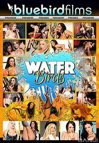 Waterbirds Vol 1