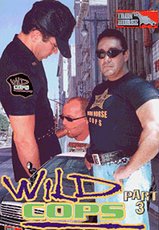 Guarda il film completo - Wild Cops 3