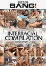 best of interracial compilation vol 2