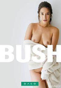 Bush