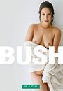 bush