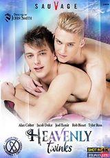 Ver película completa - Heavenly Twinks