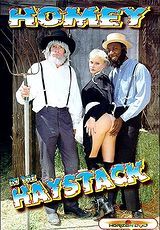 Watch full movie - Homey In The Haystack