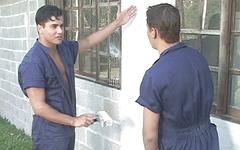 Watch Now - Latino painters get horny and fuck outside on the job