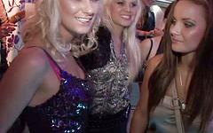 Party Hotties Give Wild Head on the Dance Floor join background