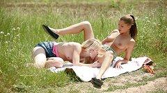 Pussies play in the field with flowers and deflowering - movie 4 - 3