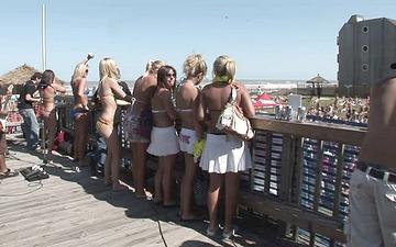 Descargar Sorority sisters show their titties on the beach