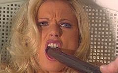 Goedkope achtertuin slet Briana Banks - movie 2 - 2